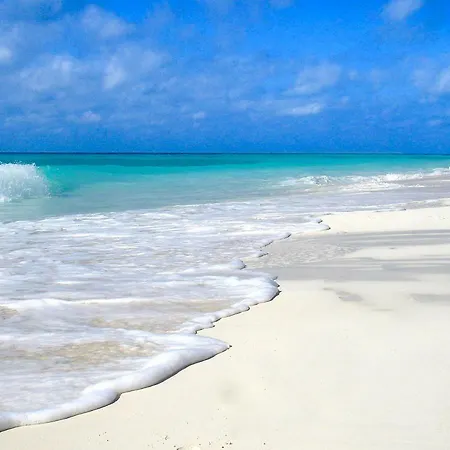 Appartamento Siesta Key Dream Vacation